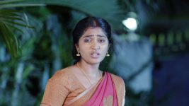 Vandhaal Sridevi S01E256 11th April 2019 Full Episode