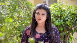 Vandhaal Sridevi S01E259 16th April 2019 Full Episode