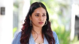 Velaikkaran (Star vijay) S01E367 An Uninvited Guest Arrives Full Episode
