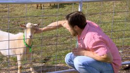 WWE Total Divas S01E00 Nikki Bella asks for Daniel Bryan's help - 6th December 2016 Full Episode