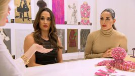 WWE Total Divas S01E00 The Bellas try to break into the business world - 28th March 2016 Full Episode