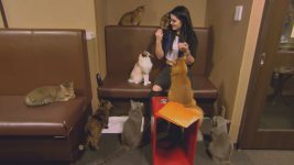 WWE Total Divas S01E00 While in Tokyo, Paige calls Alicia from a cat café - 19th January 2016 Full Episode