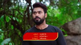 Malli Nindu Jabili S01 E248 Meera Strikes Satya