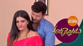Akka Mogudu S01E236 22nd April 2019 Full Episode