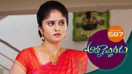Akka Mogudu S01E587 21st October 2020 Full Episode