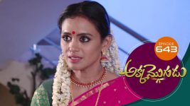 Akka Mogudu S01E643 28th December 2020 Full Episode