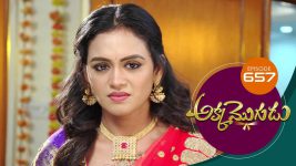 Akka Mogudu S01E657 13th January 2021 Full Episode