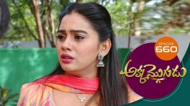 Akka Mogudu S01E660 18th January 2021 Full Episode