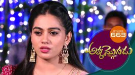 Akka Mogudu S01E663 21st January 2021 Full Episode