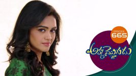 Akka Mogudu S01E665 23rd January 2021 Full Episode