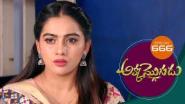 Akka Mogudu S01E666 25th January 2021 Full Episode
