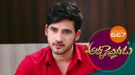 Akka Mogudu S01E667 26th January 2021 Full Episode