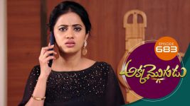 Akka Mogudu S01E683 13th February 2021 Full Episode