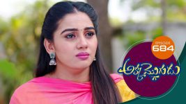 Akka Mogudu S01E684 15th February 2021 Full Episode