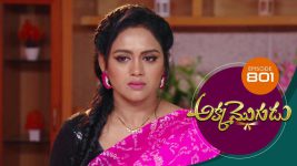 Akka Mogudu S01E801 14th July 2021 Full Episode