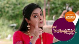 Ala Venkatapuram Lo S01 E239 12th November 2021