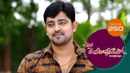 Ala Venkatapuram Lo S01 E250 25th November 2021