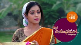 Ala Venkatapuram Lo S01 E45 31st March 2021