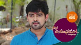 Ala Venkatapuram Lo S01 E65 23rd April 2021