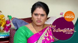 Ala Venkatapuram Lo S01 E776 3rd August 2022