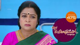 Ala Venkatapuram Lo S01 E786 15th August 2022