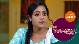 Ala Venkatapuram Lo S01 E791 20th August 2022