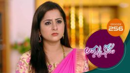 Ammakosam S01E256 13th July 2021 Full Episode