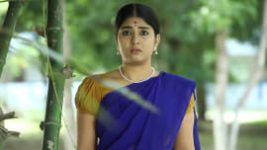 Azhagiya Tamil Magal S01E315 20th November 2018 Full Episode