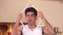 Balumama Chya Navan Chang Bhala S01E333 24th August 2019 Full Episode