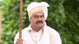 Balumama Chya Navan Chang Bhala S01E356 20th September 2019 Full Episode