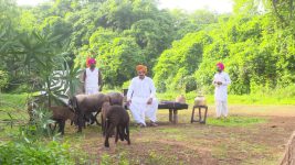 Balumama Chya Navan Chang Bhala S01E813 9th July 2021 Full Episode