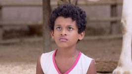Balumama Chya Navan Chang Bhala S01E91 23rd November 2018 Full Episode