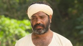 Balumama Chya Navan Chang Bhala S01E975 27th December 2021 Full Episode