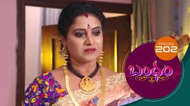 Bandham S01E202 24th April 2019 Full Episode