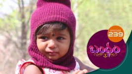 Bandham S01E238 14th June 2019 Full Episode