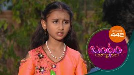Bandham S01E442 24th February 2020 Full Episode