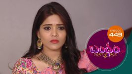 Bandham S01E443 25th February 2020 Full Episode