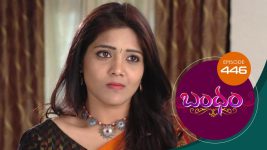 Bandham S01E446 28th February 2020 Full Episode