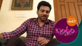 Bandham S01E447 29th February 2020 Full Episode