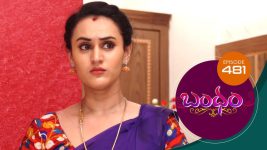 Bandham S01E481 8th July 2020 Full Episode
