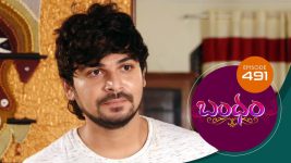 Bandham S01E491 22nd July 2020 Full Episode