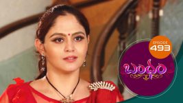 Bandham S01E493 24th July 2020 Full Episode