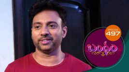 Bandham S01E497 30th July 2020 Full Episode