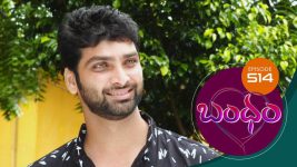 Bandham S01E514 24th August 2020 Full Episode