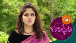 Bandham S01E516 26th August 2020 Full Episode