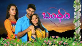 Bandham S01E522 3rd September 2020 Full Episode