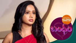 Bandham S01E529 14th September 2020 Full Episode