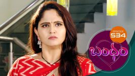 Bandham S01E534 19th September 2020 Full Episode