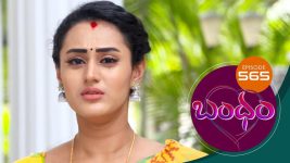 Bandham S01E565 27th October 2020 Full Episode