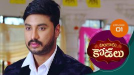 Bangaru Kodalu S01E01 24th February 2020 Full Episode